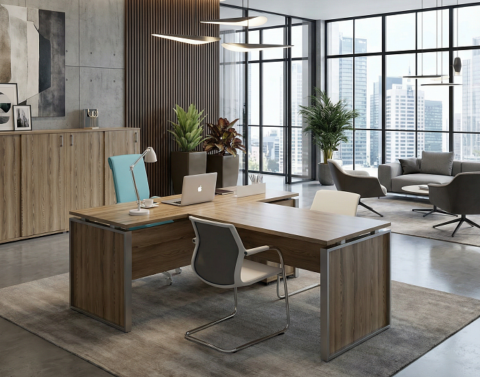 фото кабинет Аргентум-М					