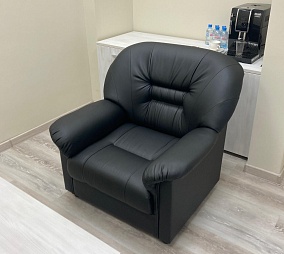 Проект Алион