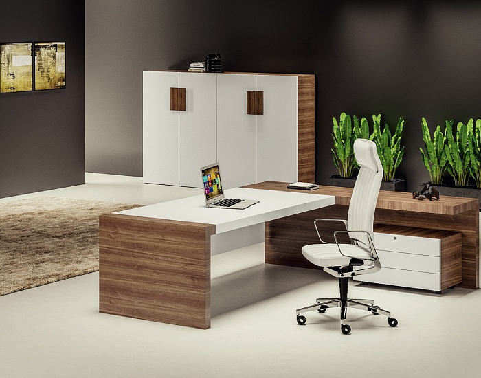 фото кабинет руководителя Кио					 №2					