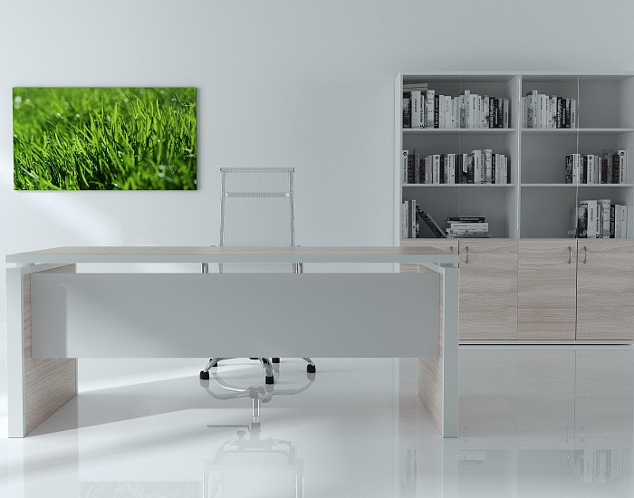 фото кабинет Стил Эво					 №4					