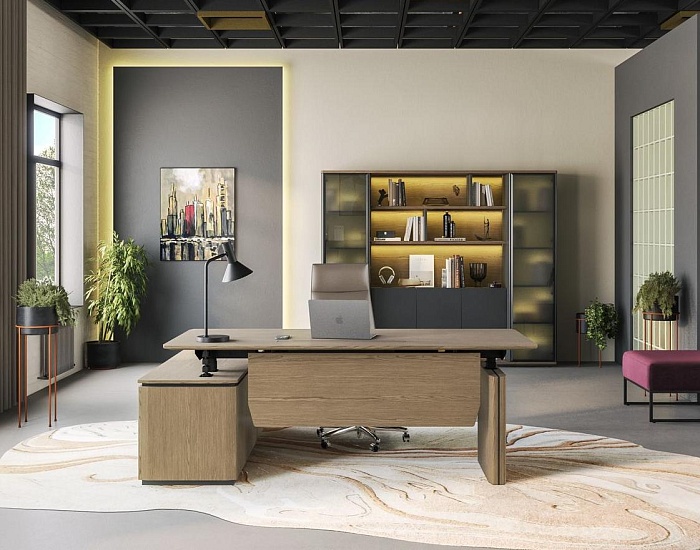 фото Кабинет руководителя Ион					 №3					