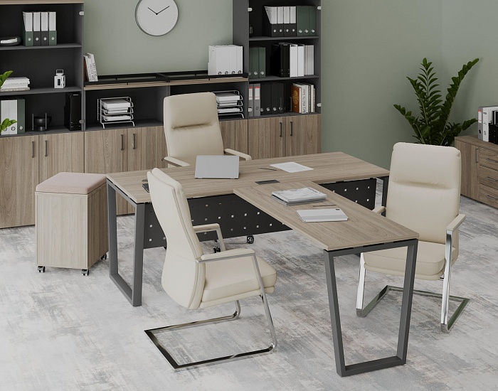 фото кабинет Проджект Вяз Т					