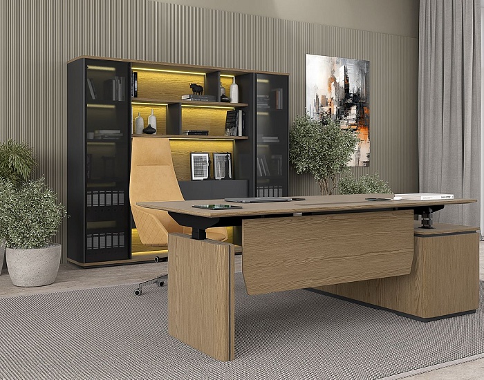 фото Кабинет руководителя Ион					 №5					