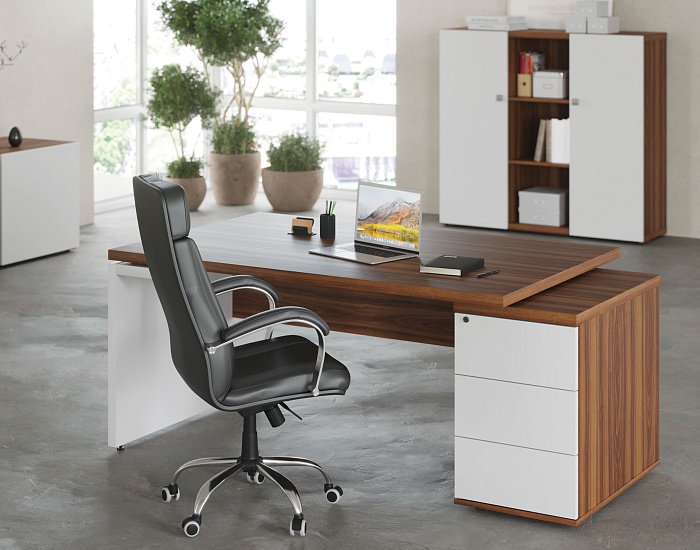 фото кабинет Зион Орех					 №3					